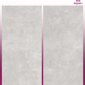 SOFT ASH  -  (600X1200) - GVT - MATT - CAR