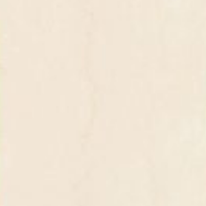 SPARKLEFLY -  (600X1200) - GVT - POL