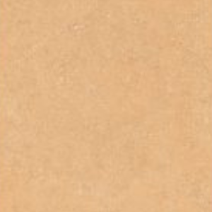 WALNUT LITE -  (600X1200) - GVT - CAR