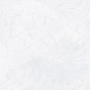 WHITE PARADISE -  (600X1200) - GVT - CAR